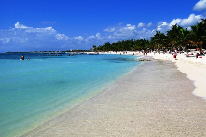 Private Turtle Snorkel Adventure in Akumal - What you’re aiming to see underwater