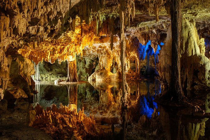 Private Turtles & Cenotes Adventure - What makes the day run smoothly: guide energy, snacks, and photos