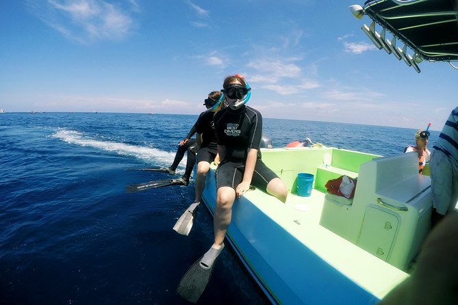 Private Whale Shark All Inclusive Experience - Private pickup from Riviera Maya or Cancun starts before sunrise