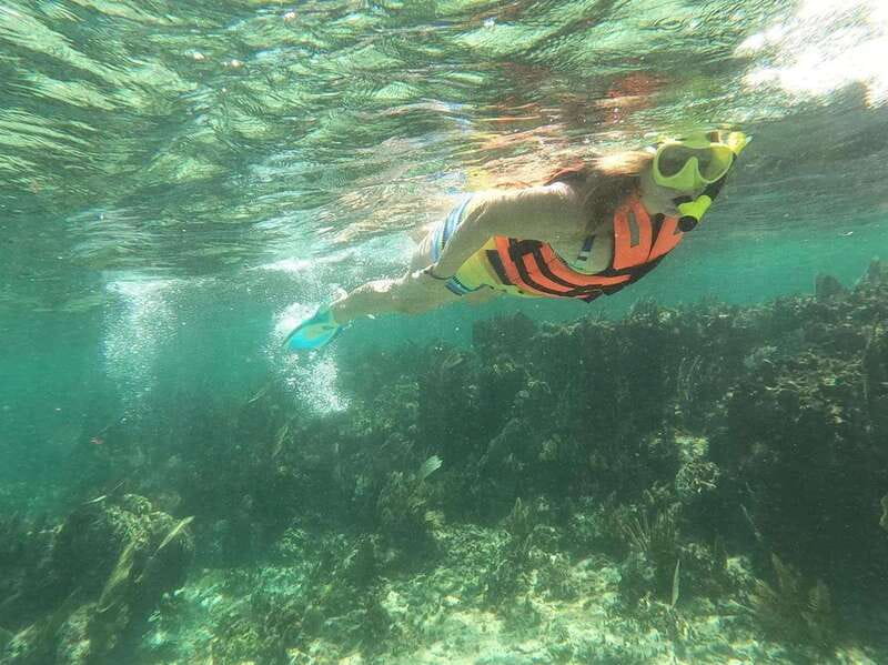 Puerto Morelos: Guided Snorkeling Tour with Gear & Fees - Stop One: Coral Reef Time With a Guide (and a Lot of Fish)