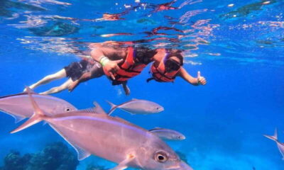 Puerto Morelos: Guided Snorkeling Tour with Gear & Fees - Getting Started at Javier Rojo Gomez and Meeting the Team