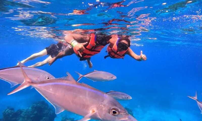 Puerto Morelos: Guided Snorkeling Tour with Gear & Fees - Reef Etiquette Rules You’ll Follow (and Why They Matter)