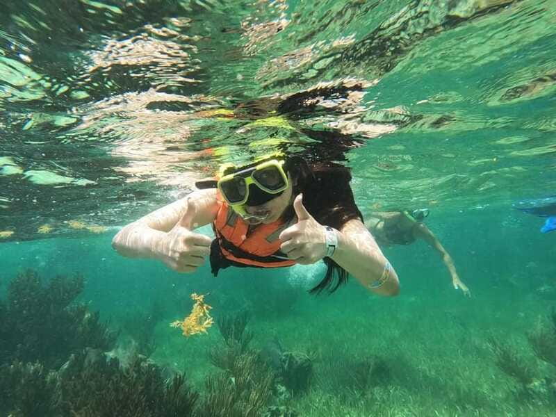 Puerto Morelos: Guided Snorkeling Tour with Gear & Fees - Gear, Timing, and What to Bring for a Smooth 2 Hours