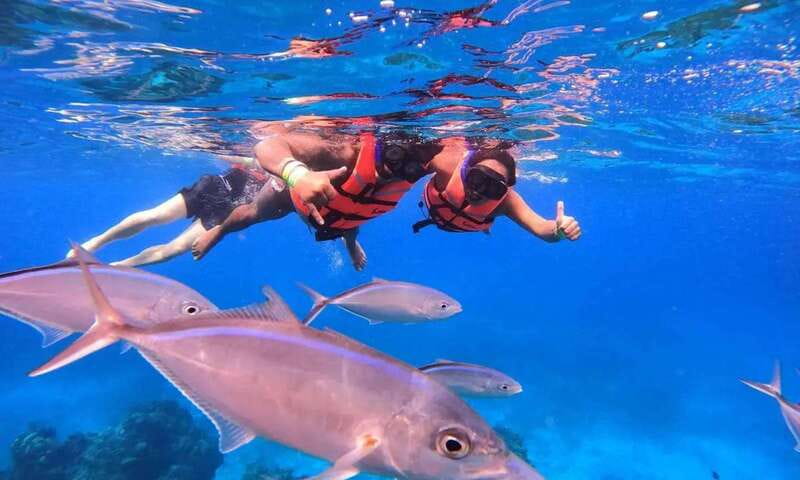 Puerto Morelos: Guided Snorkeling Tour with Gear & Fees - Getting Started at Javier Rojo Gomez and Meeting the Team