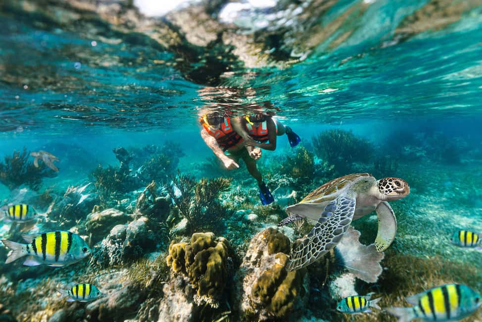 Puerto Morelos: National Reef Park Snorkeling & Beach Lunch - Key things that make this tour worth your time