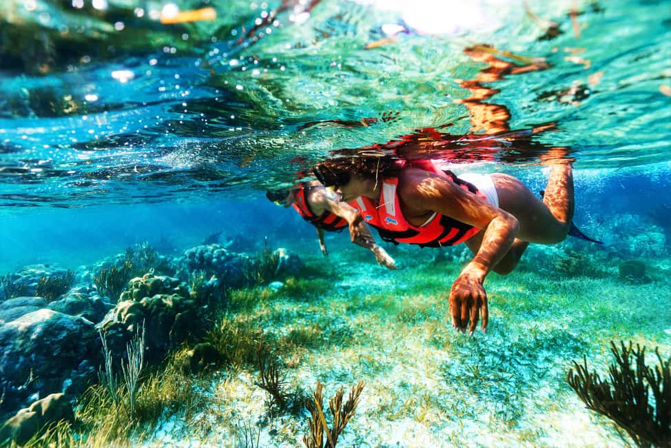 Puerto Morelos: National Reef Park Snorkeling & Beach Lunch - Cost and value: what $39 really turns into