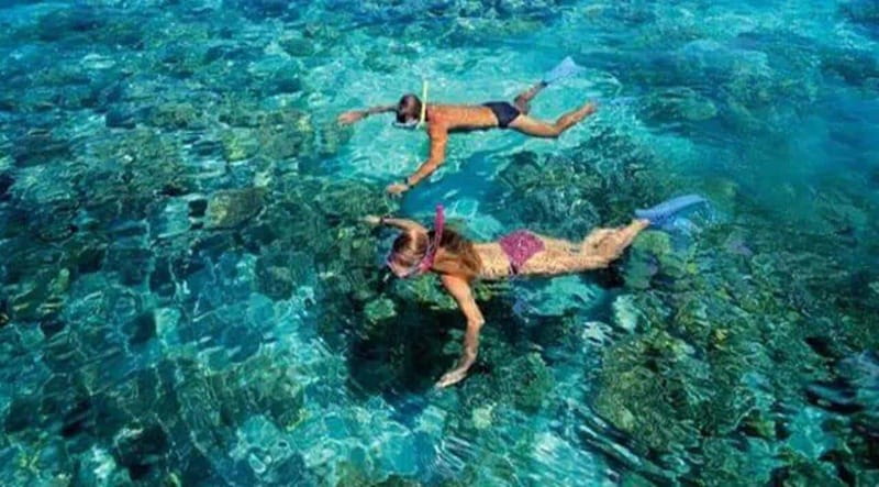 Puerto Morelos: Snorkeling at The National Reef Park - Key highlights at Puerto Morelos Reef Park
