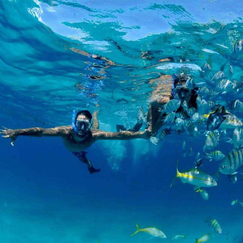 Puerto Morelos: Snorkeling at The National Reef Park - Entering Puerto Morelos National Reef Park: why the reef is the star