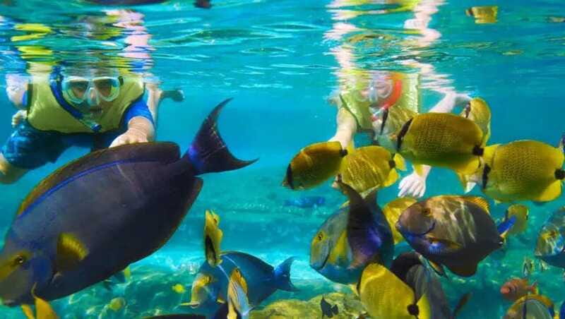 Puerto Morelos: Snorkeling at The National Reef Park - Gear, comfort, and the reality of two hours at sea