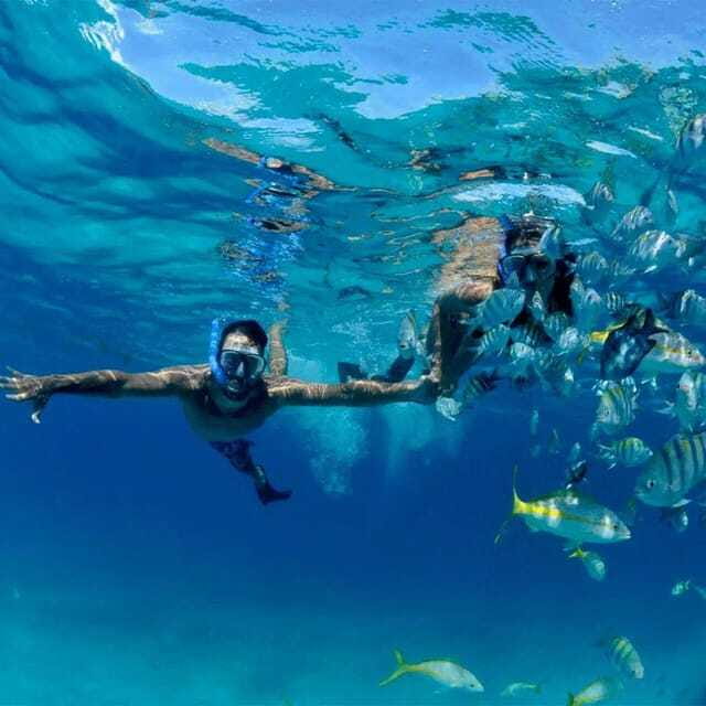 Puerto Morelos: Snorkeling at The National Reef Park - Who should book this snorkeling trip (and who shouldn’t)