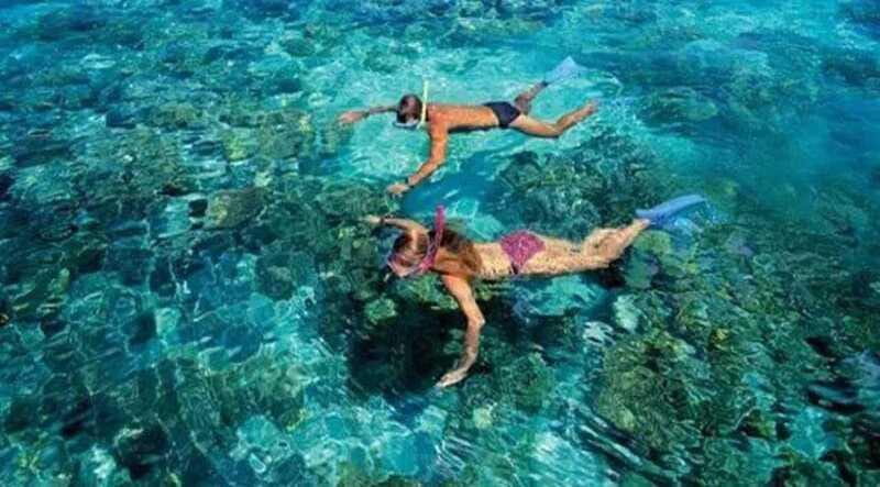 Puerto Morelos: Snorkeling at The National Reef Park - Final verdict: should you book Puerto Morelos Reef Park snorkeling?