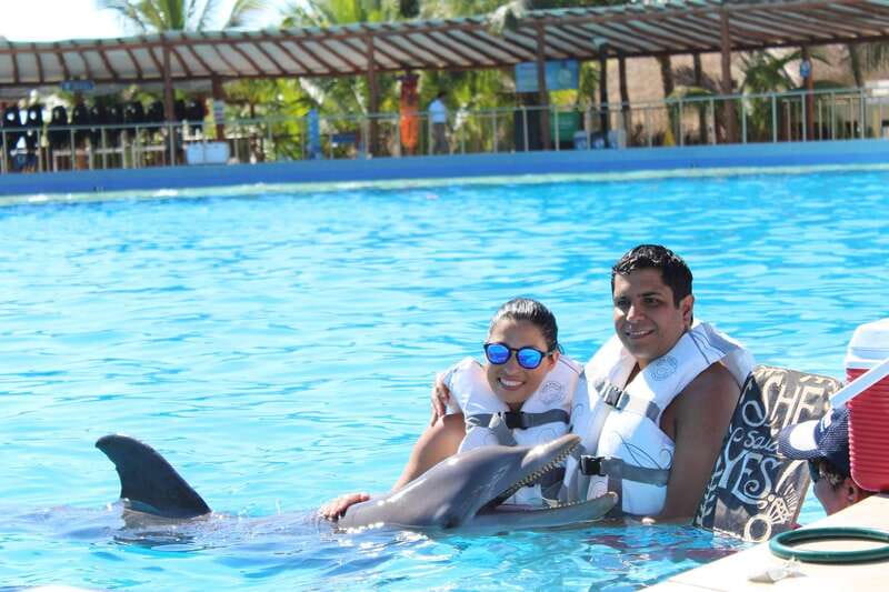 Riviera Maya: Dolphin Encounter with Beach Club Access - Dolphin Discovery Maroma: What the Encounter Is Really Like