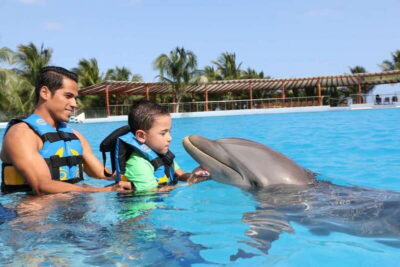 Riviera Maya: Dolphin Encounter with Beach Club Access - The Encounter Schedule: Briefing, Platform Time, and Quick Transitions
