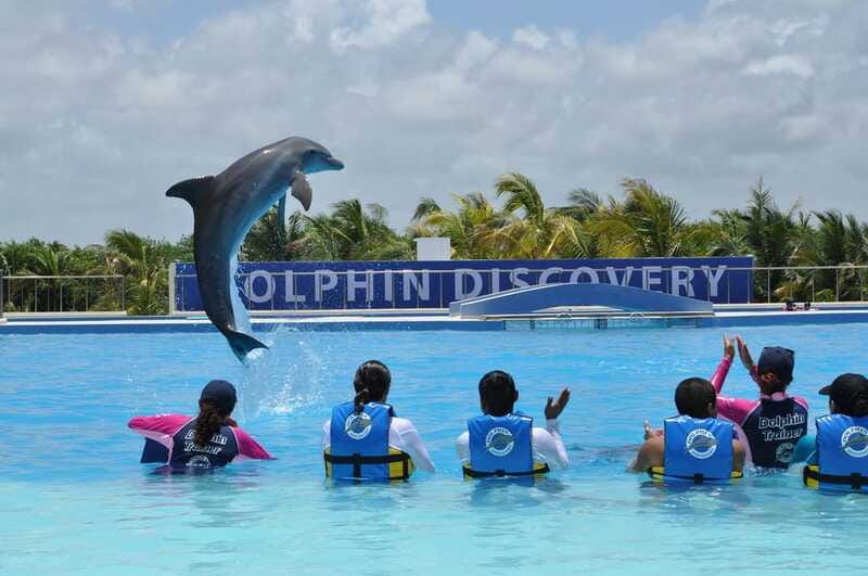 Riviera Maya: Dolphin Encounter with Beach Club Access - What to Bring (and What to Skip) for a Smoother Day