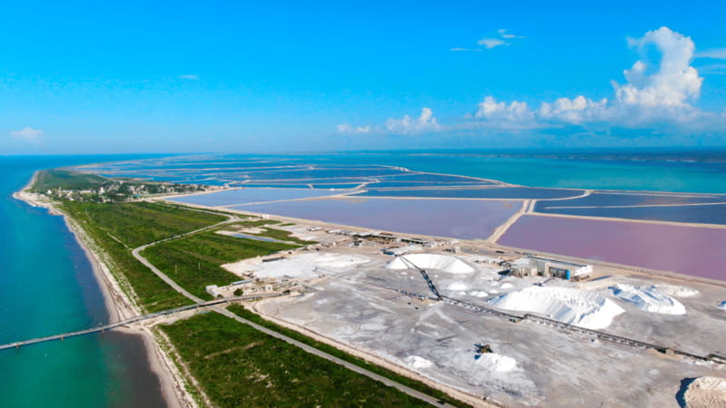 Riviera Maya: Rio Lagartos & Las Coloradas Day Trip w/Lunch - Las Coloradas Salt Pans and Pink Lake Views (Plus the Bike Option)