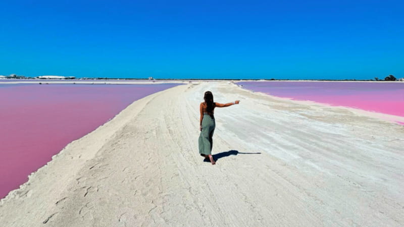 Riviera Maya: Rio Lagartos & Las Coloradas Day Trip w/Lunch - Pickup, Coach Time, and How the Day Flows