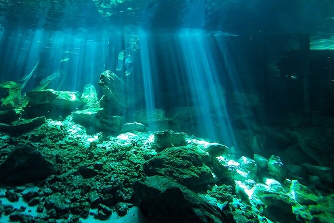 Scuba Diving in Cenote Dos Ojos from Playa del Carmen - Gear check, tank pressure, and the briefing rhythm