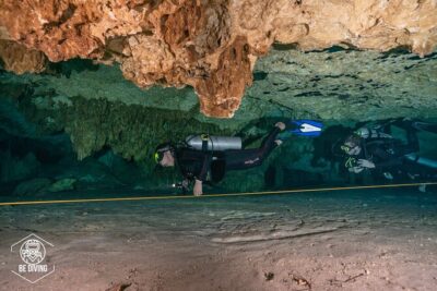 Scuba Diving in Cenotes - The Cenote Route: About 40 Minutes on the Road