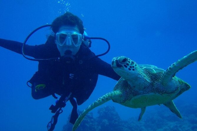 Scuba Referral Dives & Beach Club with Transportation In Riviera Maya - Referral Scuba Sessions at Maroma Beach: Who This Course Is For