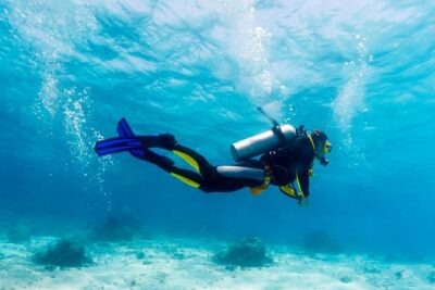 Scuba Referral Dives & Beach Club with Transportation In Riviera Maya - What’s Included (and What You’ll Still Pay For)