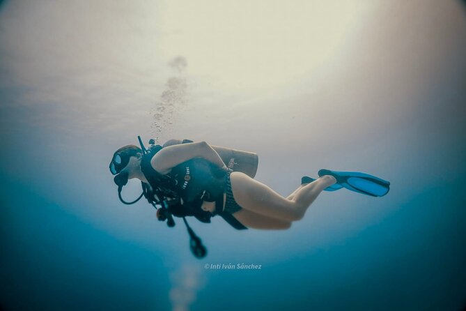 Scuba Referral Dives & Beach Club with Transportation In Riviera Maya - Gear, Wetsuit, and Equipment: Why Included Matters