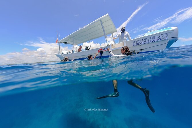 Scuba Referral Dives & Beach Club with Transportation In Riviera Maya - Small-Group Attention: What Max 15 Really Changes