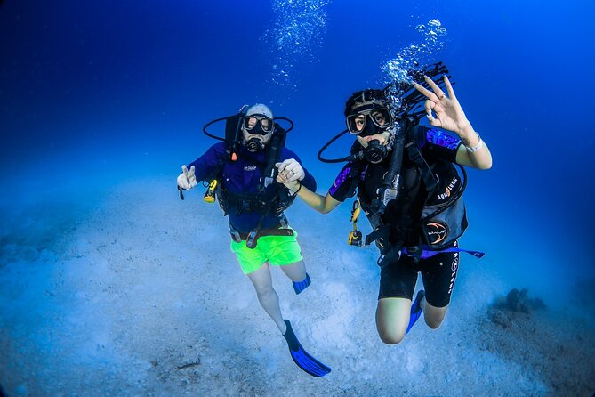 Scuba Referral Dives & Beach Club with Transportation In Riviera Maya - Reef Highlights: What You’ll See at Maroma Beach