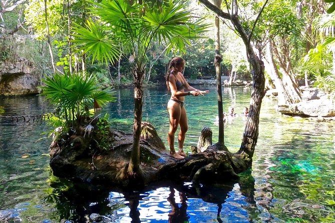Sea turtle and cenotes half day Snorkeling Tour from Riviera Maya - Price and Value: Is $99 a Good Deal?