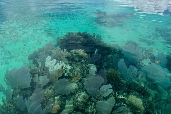 Sian Ka'an Boat Experience from Riviera Maya to Tulum - Boarding at Km 3.5: A Real Entry Into the Reserve