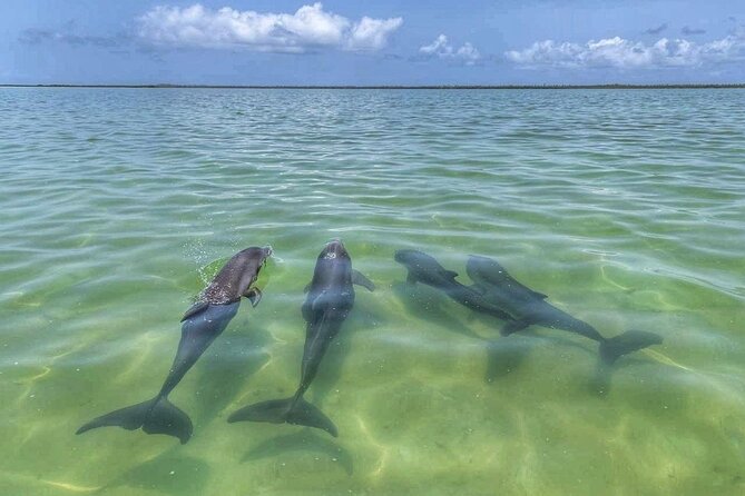 Sian Ka'an Boat Experience from Riviera Maya to Tulum - Snorkeling the Reef and Cooling Off in the Natural Pool