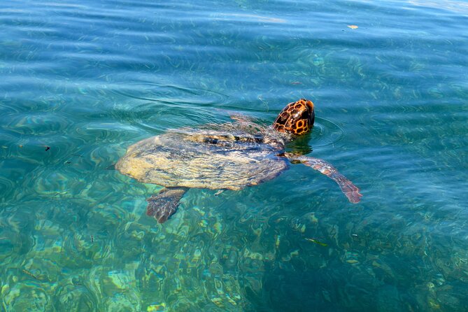 Sian Ka'an Boat Experience from Riviera Maya to Tulum - Food, White Wine, and a Proper Break in Punta Allen