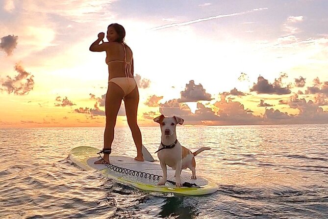 Sunrise Paddle Surf - Meeting at 6:00 a.m.: Getting to Albatros & Petrel on time