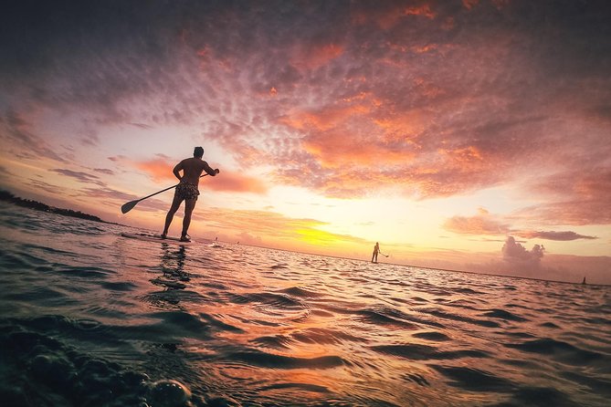 Sunrise Session - The #1 Paddleboard Tour On The Caribbean Sea - Getting On the Board: Gear, Technique Tips, and Beginner-Friendly Coaching