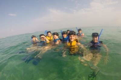 Swim with sea turtles - Price and Value: Why $45 Works (If You Like the Basics)