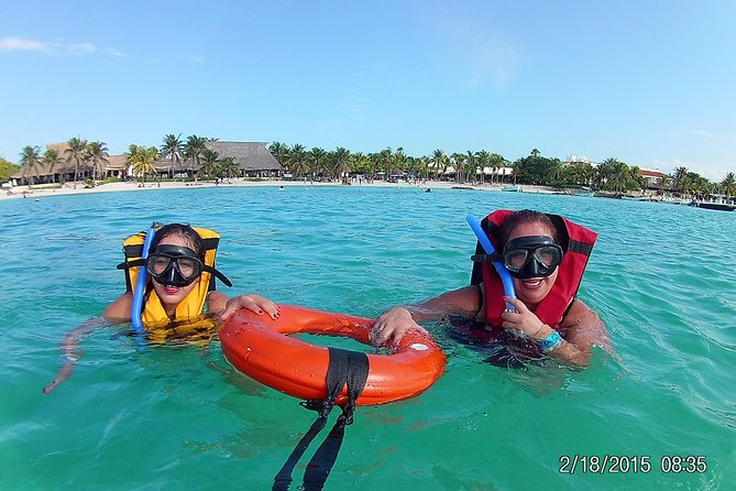 Swim with sea turtles - Wildlife Rules and How the Best Guides Keep It Calm