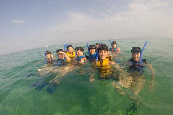Swim with sea turtles - Price and Value: Why $45 Works (If You Like the Basics)