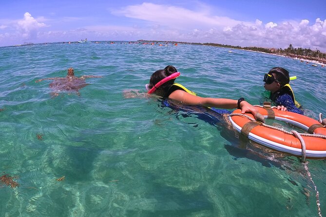 Swim with Turtles in Akumal + GoPro Photo Session - Akumal Turtle Snorkeling, With a Photo Team in the Water