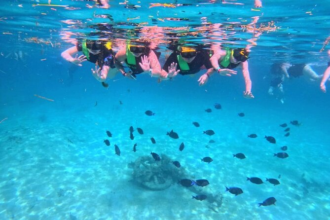 Swim with Turtles in Akumal + GoPro Photo Session - What Happens After You Swim: Park Time and Beach Access