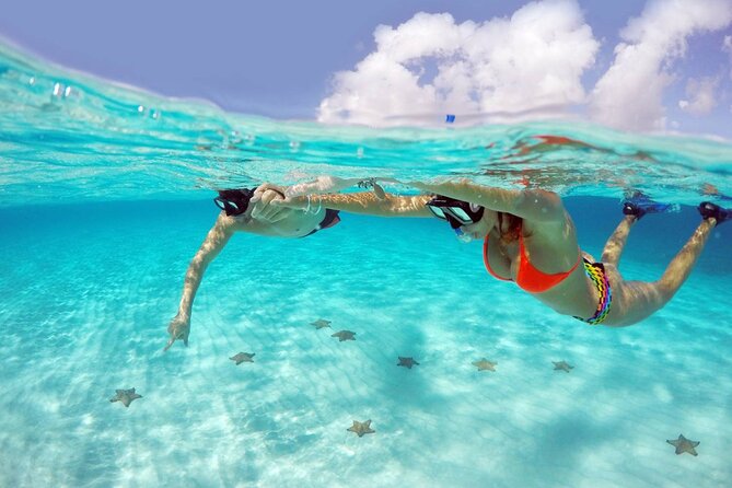 Tour to Cozumel by Catamaran with Snorkeling and Buffet Lunch - Price and what it really costs: $161.10 plus the port tax