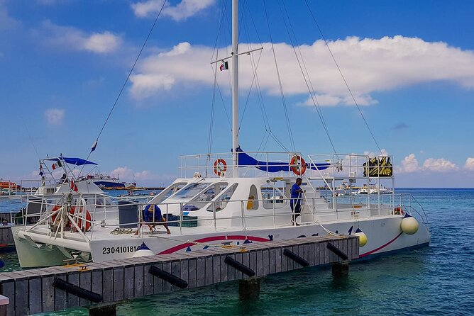 Tour to Cozumel by Catamaran with Snorkeling and Buffet Lunch - Palancar Reef snorkeling: coral and colorful fish in 30 minutes