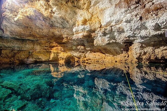 Tour Tulum Coba Cenote and Playa del Carmen (4 in 1) - Stop 4: Fifth Avenue in Playa del Carmen—what 1 hour is really for