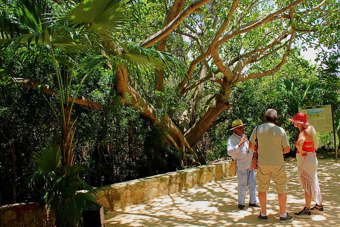 Tulum and Cenote Casa Tortuga Day Trip - Casa Tortuga Cenote: Snorkel, Swim, and Expect a Water-Cave Feel