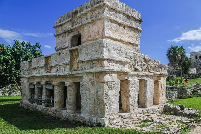 Tulum & Cenote Adventure - The Yax-Muul Cenote Stop: Snorkeling in Fresh Water Under Stalagmites