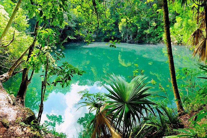 TULUM, CENOTE, MYSTIKA MUSEUM, TURTLES SNORKELING (Private) - Cenote Aktun Ha (Car Wash): the swim that saves your day