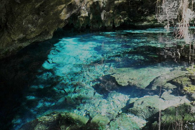 TULUM, CENOTE, MYSTIKA MUSEUM, TURTLES SNORKELING (Private) - Turtle snorkeling (private): fun water time, with one logistics check