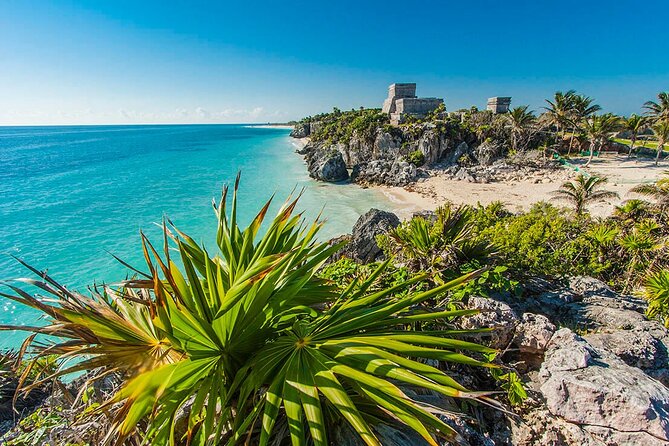 TULUM, CENOTE, MYSTIKA MUSEUM, TURTLES SNORKELING (Private) - What’s included (and what you’ll need to budget for)