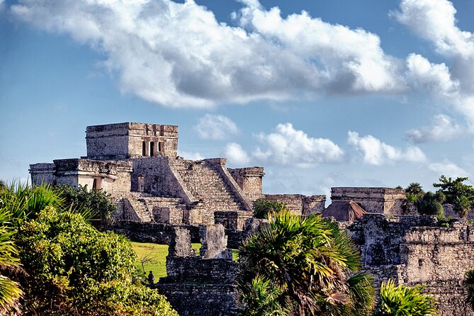 Tulum highlights tour, Cenote & Jungle Village pick up included - Group size and guide quality: the difference between seeing and learning