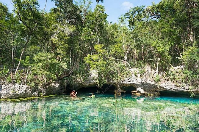 Turtle Encounter Private Tour – Swim with Sea Turtles & Cenote - Lunch Near the Jungle Cenotes: Food That Feels Local (and Included)