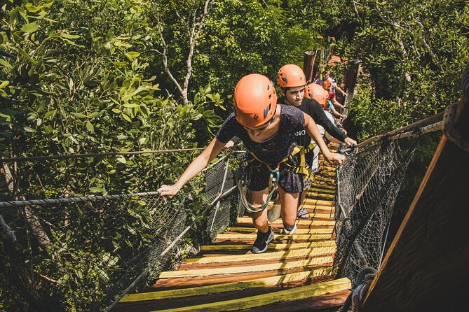 Turtle Snorkeling and Jungle Adventure with Cenote - Price and Value: What $119 Covers (and What Costs Extra)
