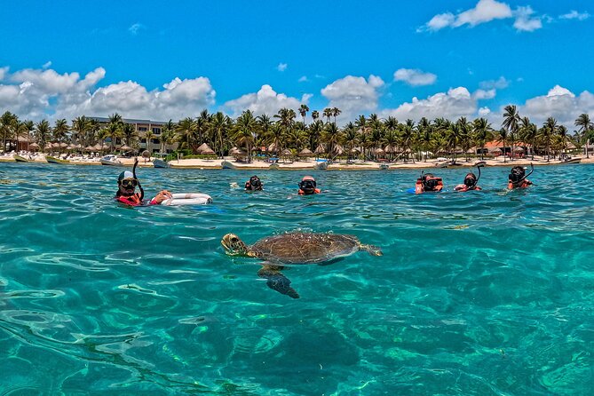 Turtle Snorkeling and Jungle Adventure with Cenote - Jungle Zipline and Rappel Into the Cenote Park